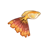 Fiery Guppy