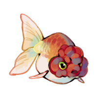 Raspberry Goldfish